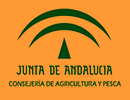 Junta de Andalucia